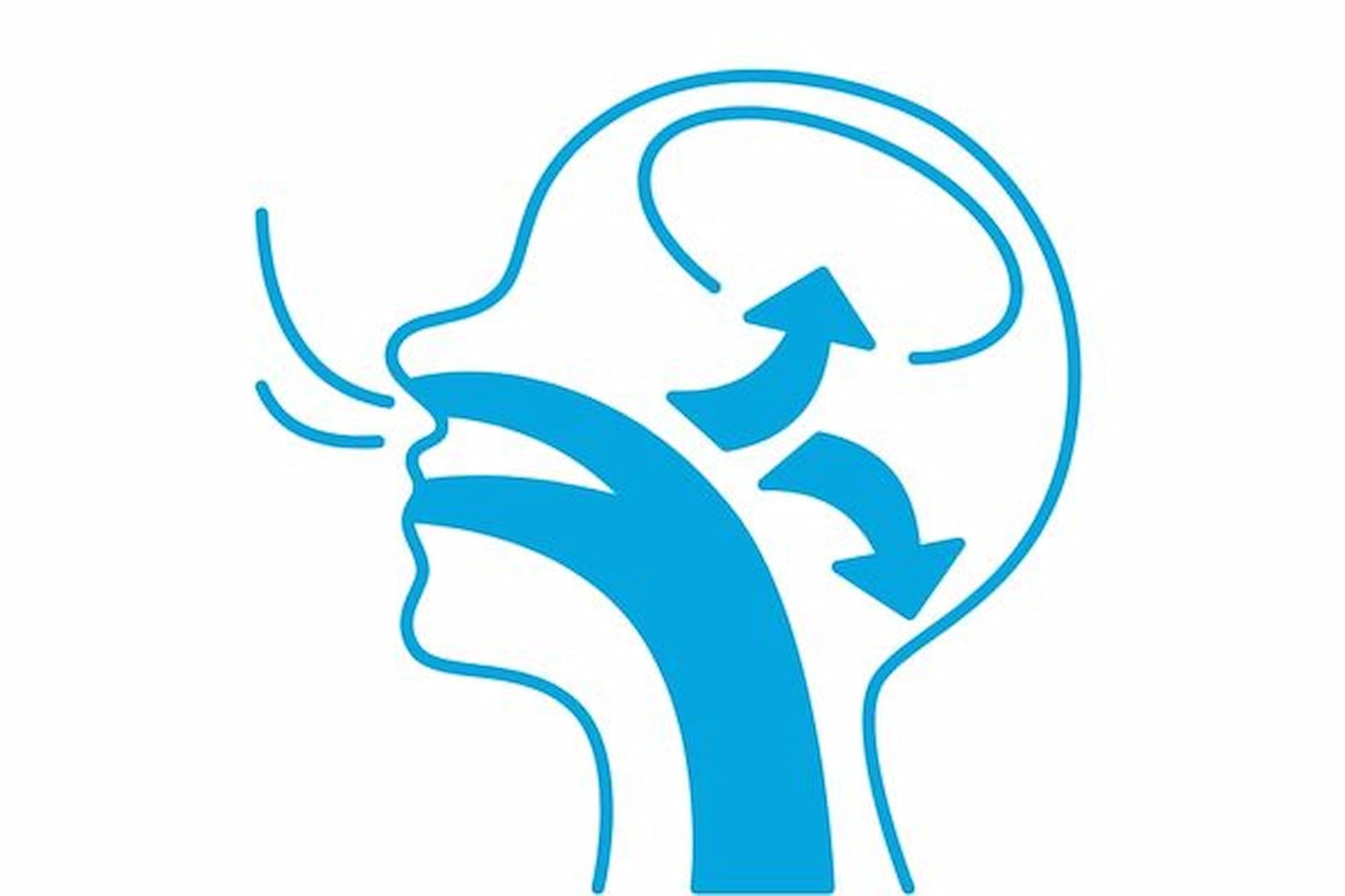 Illustration of airflow in a human head, with arrows showing mouth breathing effects, for Carpinello Orthodontics in Drexel Hill, Newtown Square or Edgmont, PA.