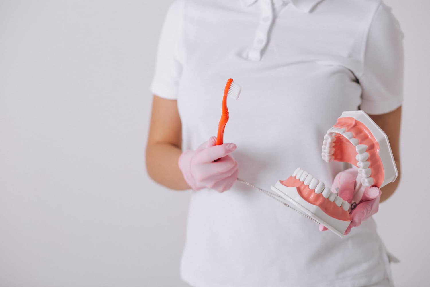 Demonstrating oral hygiene, a person holds a dental model with clear braces and toothbrush at Carpinello Orthodontics in Drexel Hill, Newtown Square or Edgmont, PA.